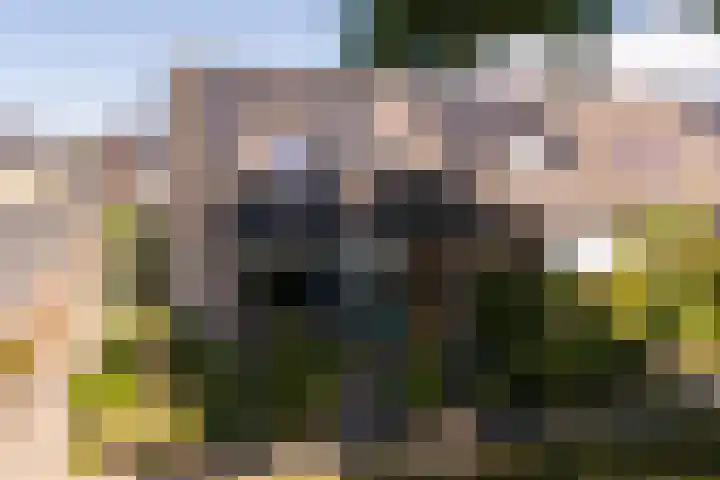 Bijenkorf 24 Eerbeek thumbnail 30