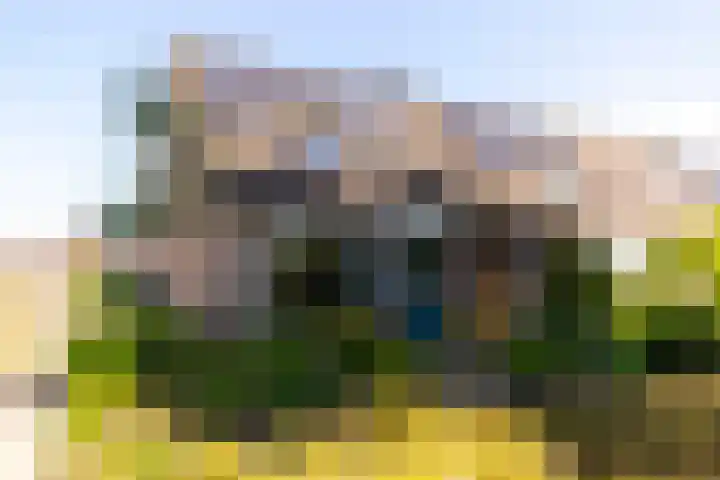 Bijenkorf 24 Eerbeek thumbnail 31