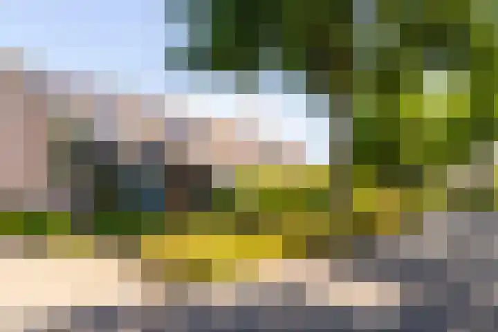 Bijenkorf 24 Eerbeek thumbnail 32