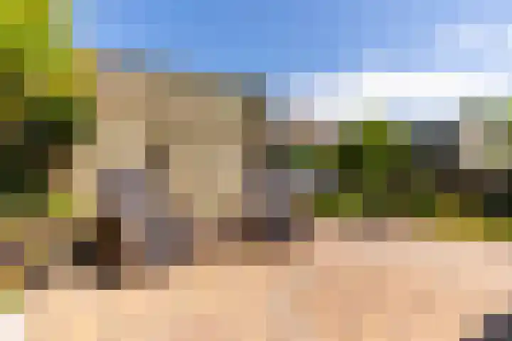 Bijenkorf 24 Eerbeek thumbnail 5