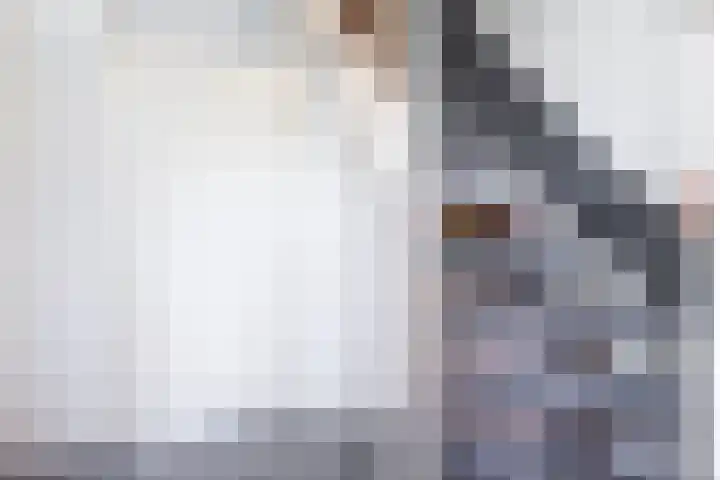 Bijenkorf 24 Eerbeek thumbnail 6