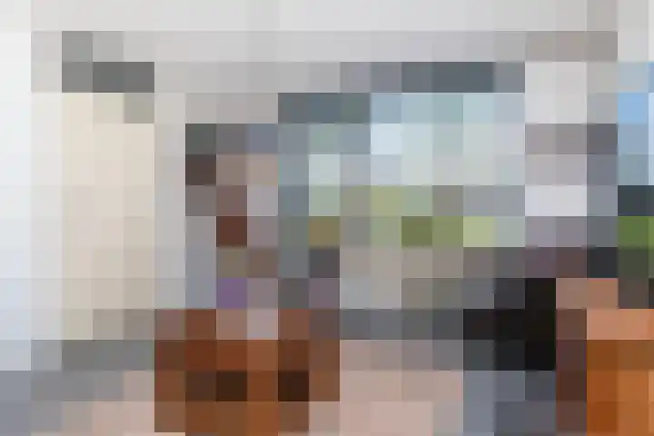 Bijenkorf 24 Eerbeek thumbnail 9