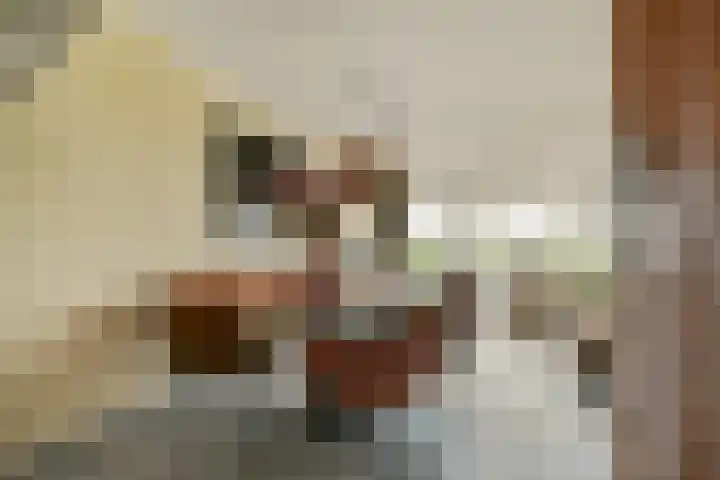 Bijenkorf 5 Moordrecht thumbnail 11