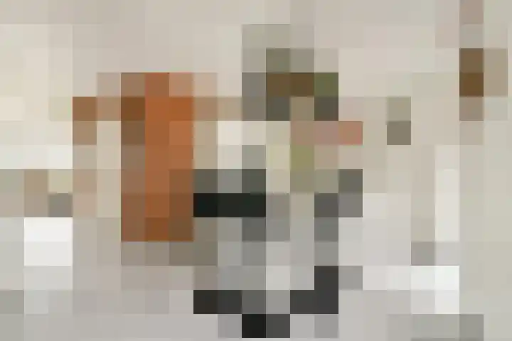 Bijenkorf 5 Moordrecht thumbnail 13