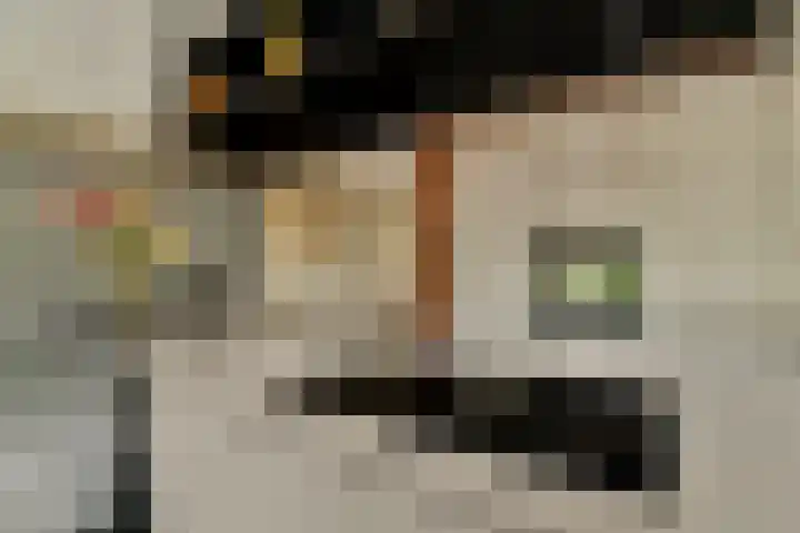 Bijenkorf 5 Moordrecht thumbnail 17