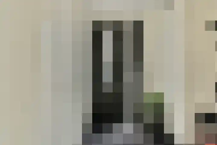 Bijenkorf 5 Moordrecht thumbnail 18