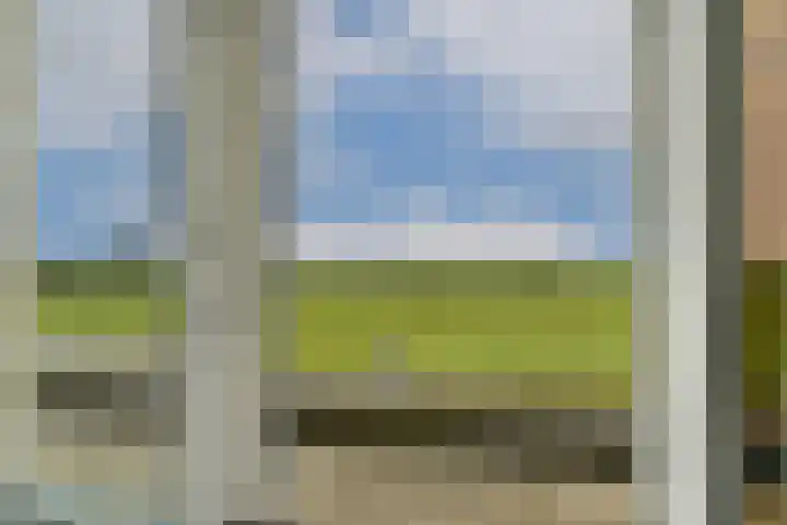 Bijenkorf 5 Moordrecht thumbnail 26