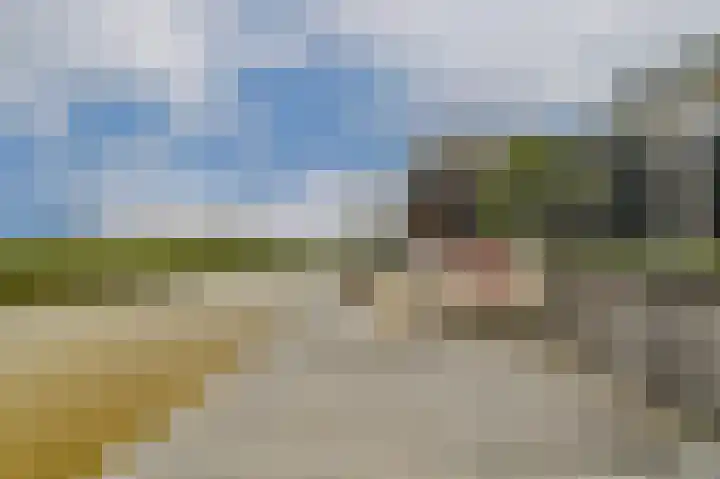 Bijenkorf 5 Moordrecht thumbnail 39
