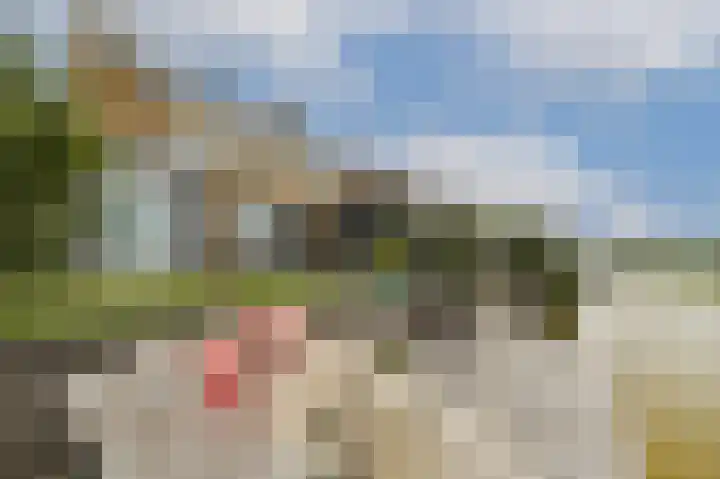 Bijenkorf 5 Moordrecht thumbnail 4
