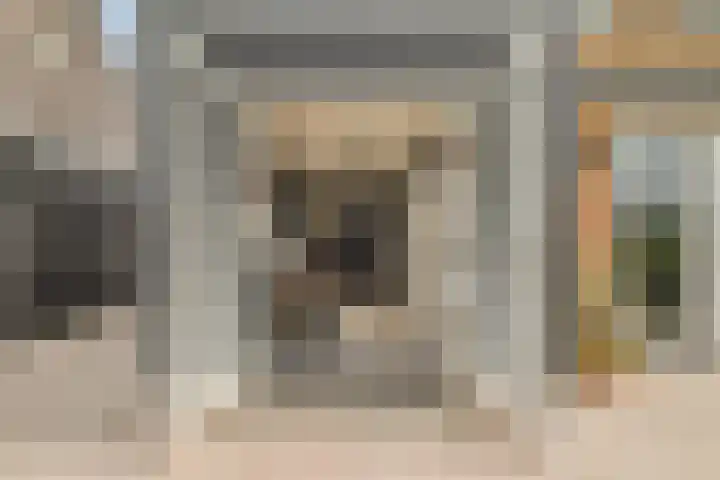 Bijenkorf 5 Moordrecht thumbnail 41