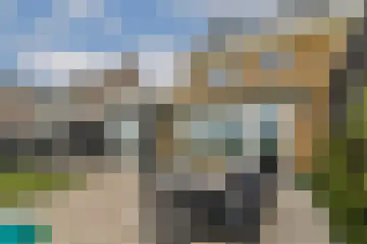 Bijenkorf 5 Moordrecht thumbnail 43