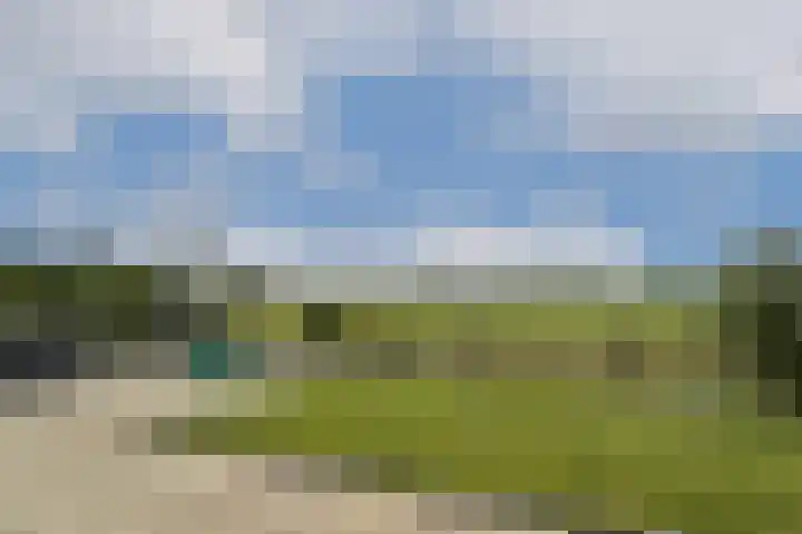 Bijenkorf 5 Moordrecht thumbnail 44