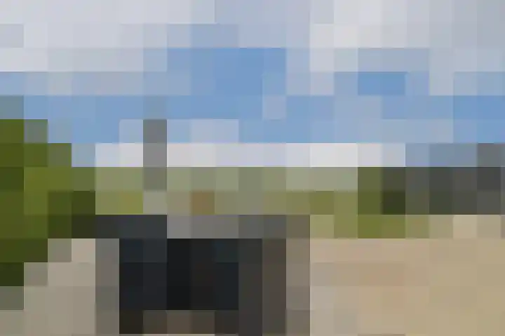 Bijenkorf 5 Moordrecht thumbnail 45