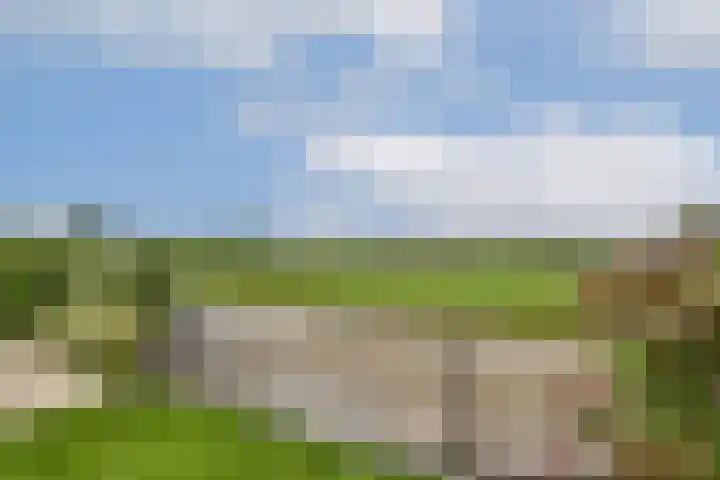 Bijenkorf 5 Moordrecht thumbnail 46