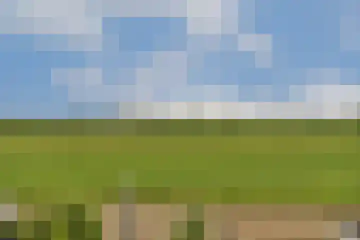 Bijenkorf 5 Moordrecht thumbnail 47
