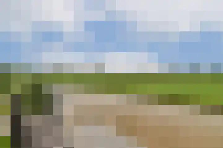 Bijenkorf 5 Moordrecht thumbnail 48