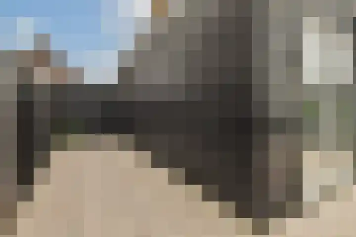 Bijenkorf 5 Moordrecht thumbnail 49