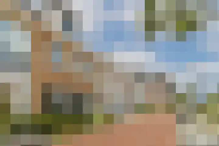 Bijenkorf 5 Moordrecht thumbnail 5