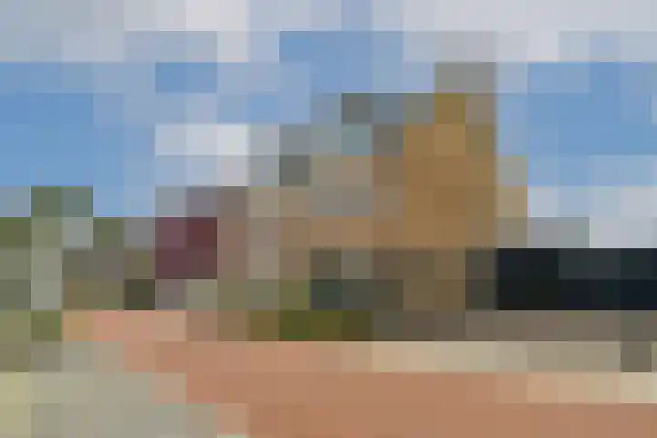 Bijenkorf 5 Moordrecht thumbnail 6