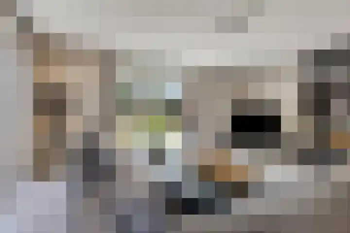 Bijenkorf 54 Hengelo thumbnail 10