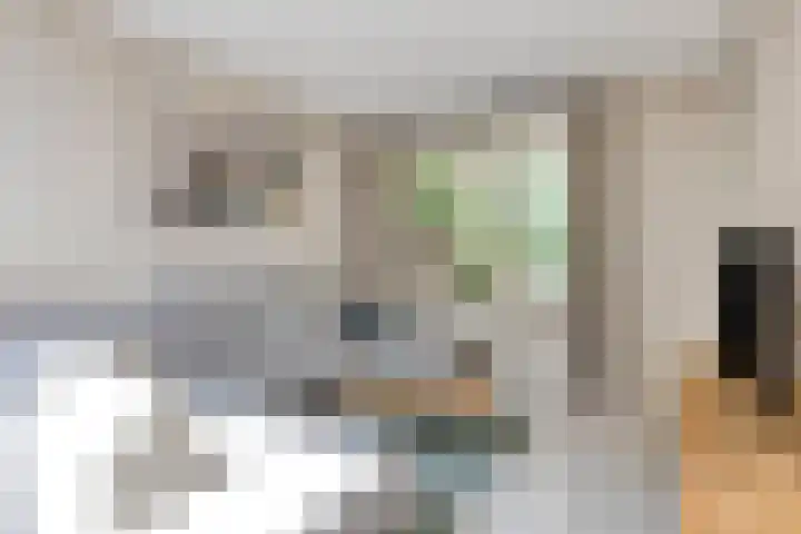 Bijenkorf 54 Hengelo thumbnail 17