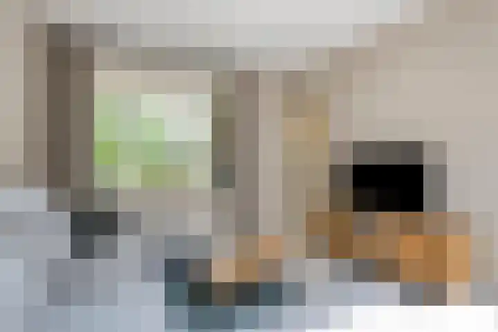 Bijenkorf 54 Hengelo thumbnail 18