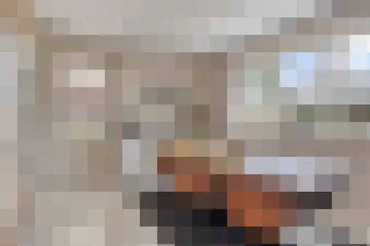 Bijenkorf 54 Hengelo thumbnail 22