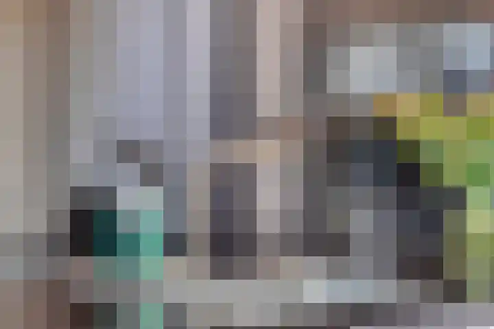 Bijenkorf 54 Hengelo thumbnail 26