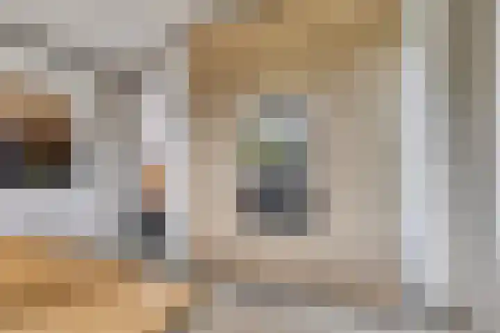 Bijenkorf 54 Hengelo thumbnail 28