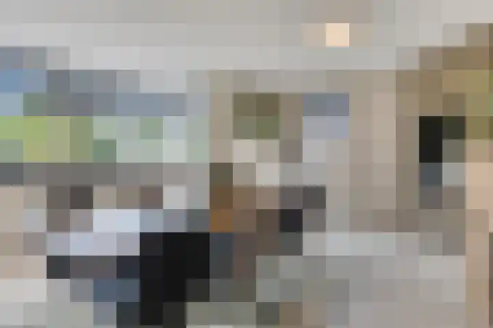 Bijenkorf 54 Hengelo thumbnail 29