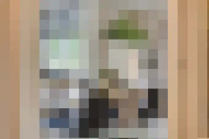 Bijenkorf 54 Hengelo thumbnail 30