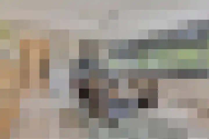 Bijenkorf 54 Hengelo thumbnail 31