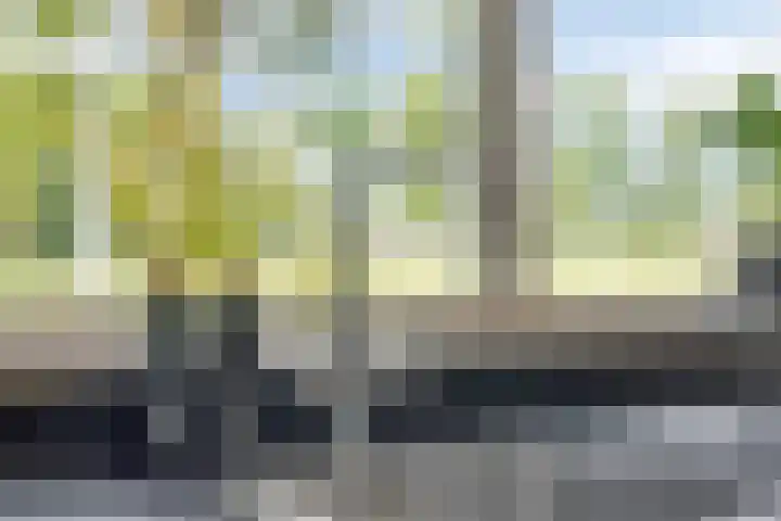 Bijenkorf 54 Hengelo thumbnail 37