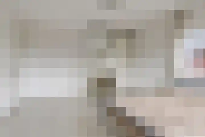 Bijenkorf 54 Hengelo thumbnail 49