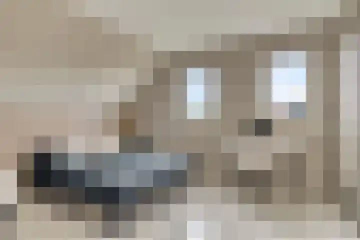 Bijenkorf 54 Hengelo thumbnail 54