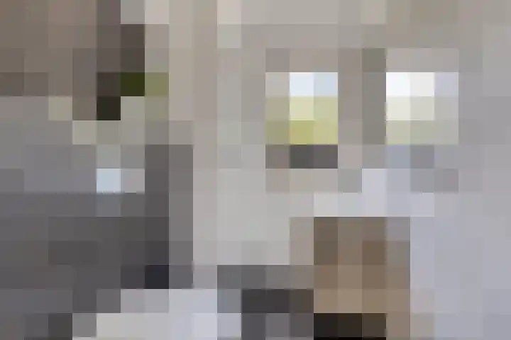 Bijenkorf 54 Hengelo thumbnail 58