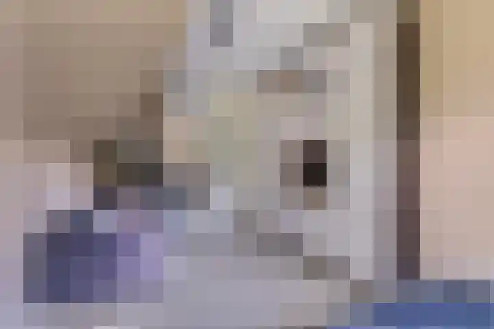 Bijenkorf 54 Hengelo thumbnail 61