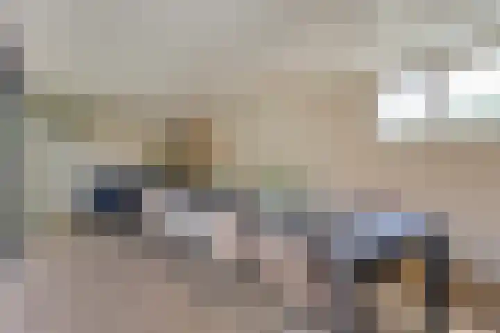 Bijenkorf 54 Hengelo thumbnail 64