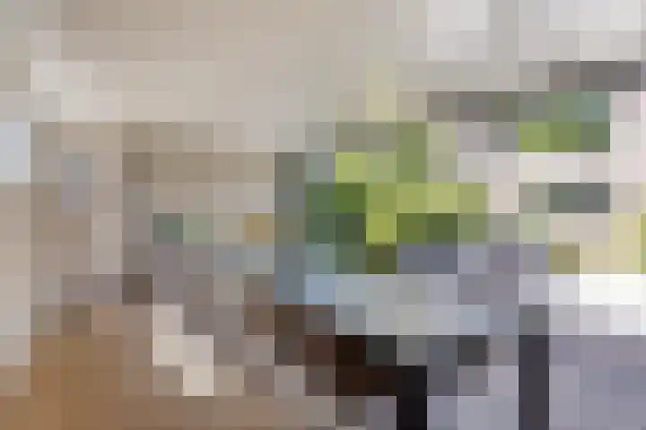 Bijenkorf 54 Hengelo thumbnail 65