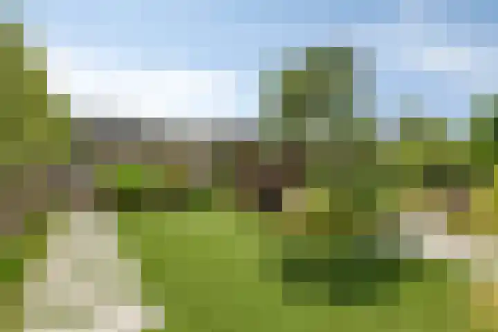 Bijenkorf 54 Hengelo thumbnail 69