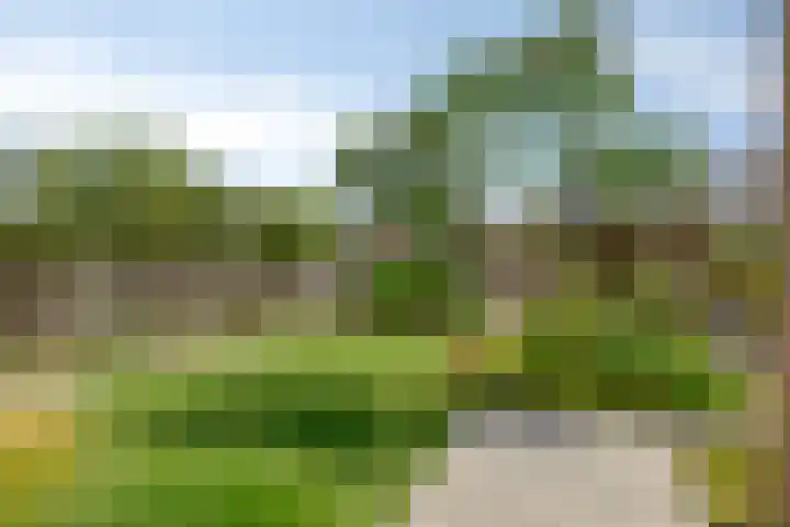 Bijenkorf 54 Hengelo thumbnail 70