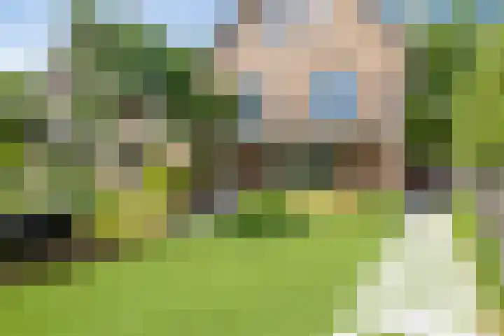Bijenkorf 54 Hengelo thumbnail 71
