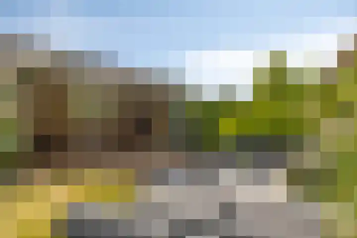 Bijenkorf 54 Hengelo thumbnail 72