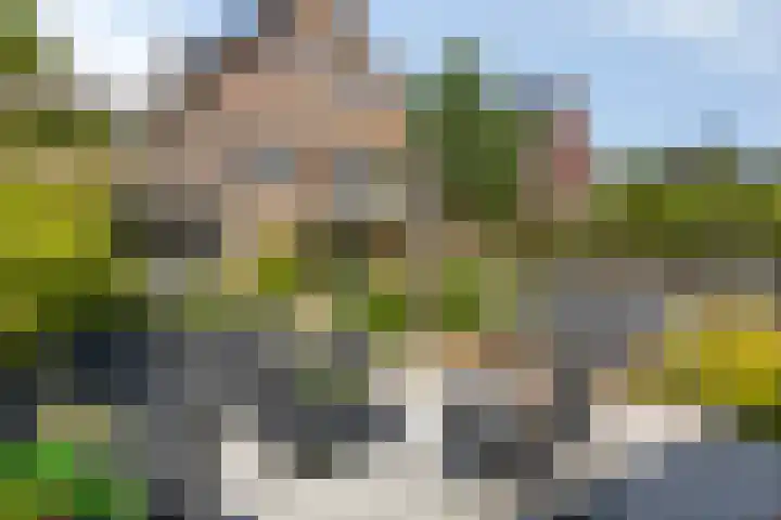 Bijenkorf 54 Hengelo thumbnail 73