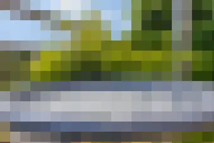 Bijenkorf 54 Hengelo thumbnail 75