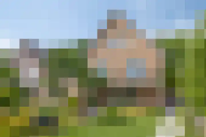 Bijenkorf 54 Hengelo thumbnail 76