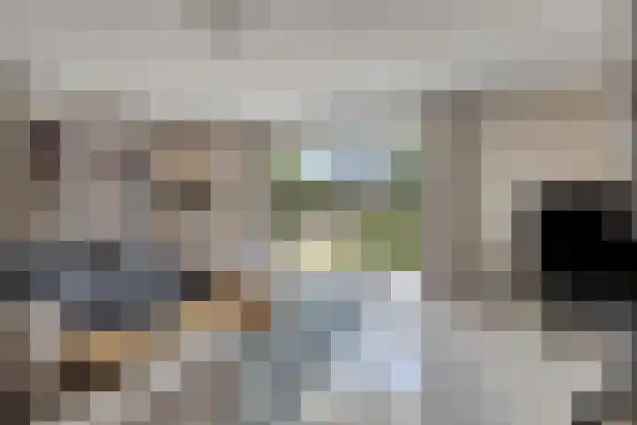 Bijenkorf 54 Hengelo thumbnail 8