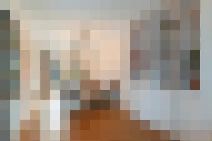 Bijenkorf 55 Eerbeek thumbnail 16