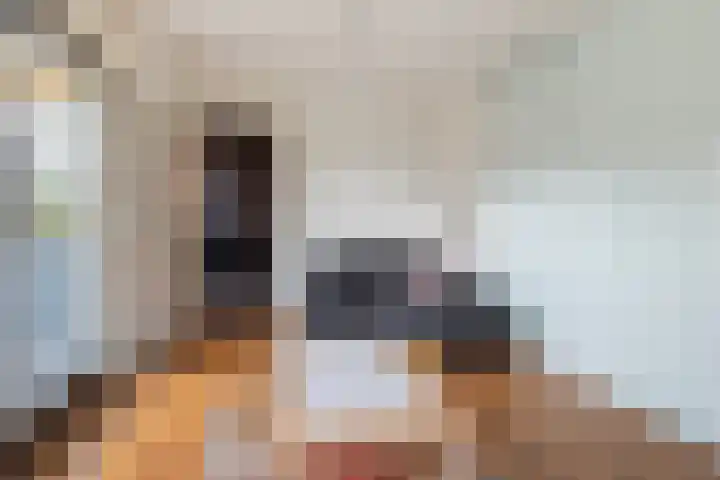 Bijenkorf 55 Eerbeek thumbnail 20