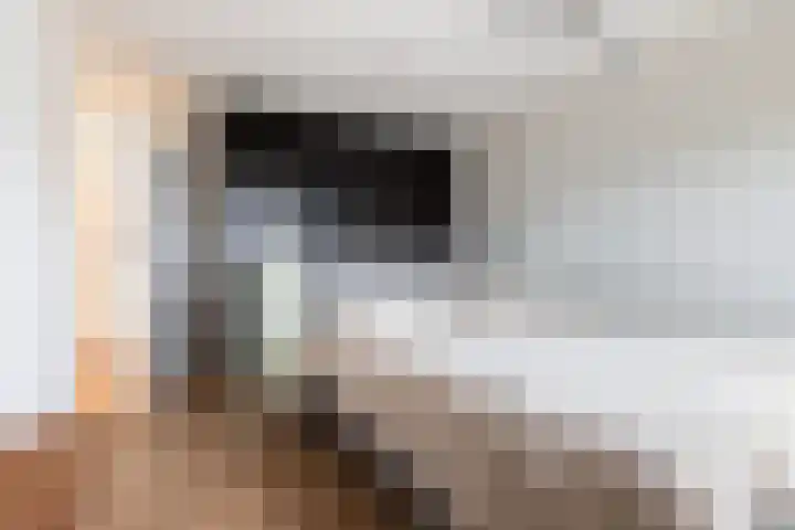 Bijenkorf 55 Eerbeek thumbnail 24